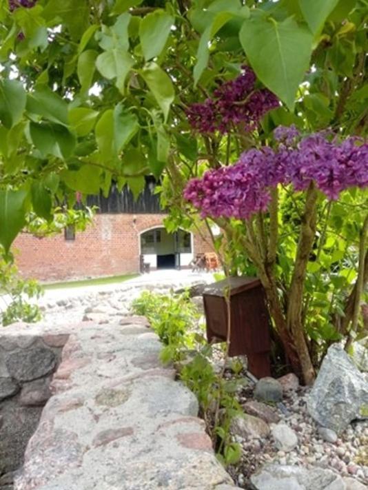 Folwark Tumiany Pokoje & Restauracja Экстерьер фото